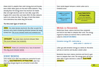 Everything You Need to Ace Chemistry in One Big Fat Notebook. (Big Fat Notebooks).