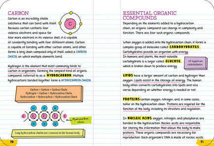 Everything You Need to Ace Biology in One Big Fat Notebook