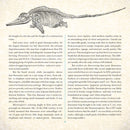 Dinosaur