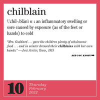 365 New Words-A-Year Page-A-Day Calendar 2022