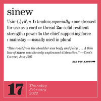 365 New Words-A-Year Page-A-Day Calendar 2022