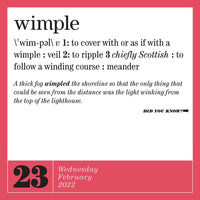 365 New Words-A-Year Page-A-Day Calendar 2022