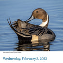 Audubon Birds Page-A-Day Calendar 2023