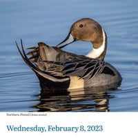 Audubon Birds Page-A-Day Calendar 2023