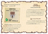Diary of an 8-Bit Warrior Diamond Box Set