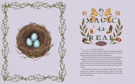 The Wheel of the Year: An Illustrated Guide to Nature's Rhythms