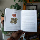 Jane Austen's Garden: A Botanical Tour of the Classic Novels
