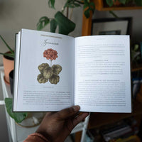 Jane Austen's Garden: A Botanical Tour of the Classic Novels