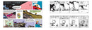 The Calvin and Hobbes Portable Compendium Set 3 (Volume 3)
