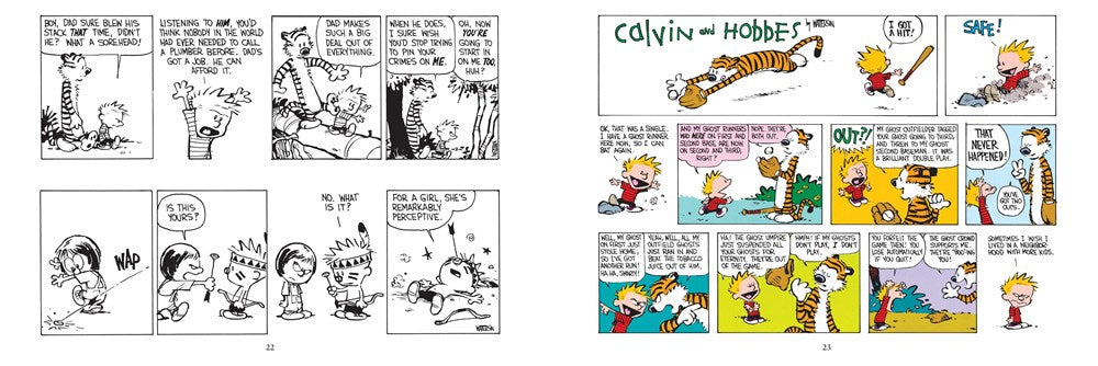 The Calvin and Hobbes Portable Compendium Set 3 (Volume 3)