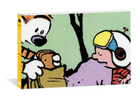 The Calvin and Hobbes Portable Compendium Set 3 (Volume 3)