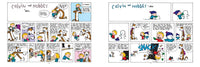 The Calvin and Hobbes Portable Compendium Set 3 (Volume 3)