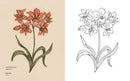 Floriography: An Illustrated Guide to the Victorian Language of Flowers (Volume 1) (Hidden Languages)