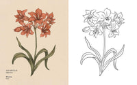 Floriography: An Illustrated Guide to the Victorian Language of Flowers (Volume 1) (Hidden Languages)