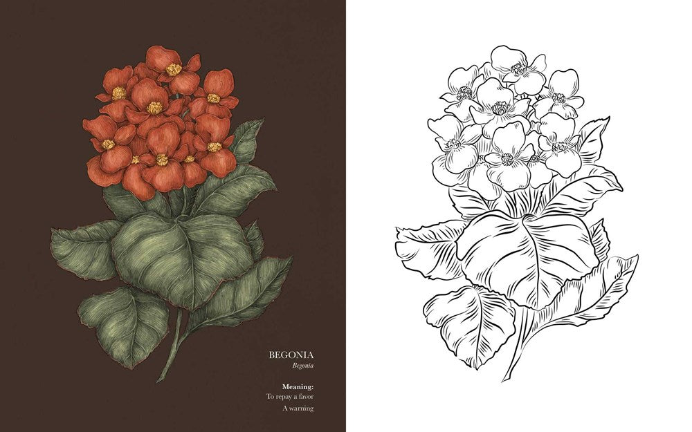 Floriography: An Illustrated Guide to the Victorian Language of Flowers (Volume 1) (Hidden Languages)