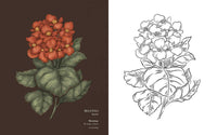 Floriography: An Illustrated Guide to the Victorian Language of Flowers (Volume 1) (Hidden Languages)