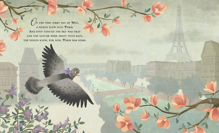 A Pigeon in Paris: Petite Takes Flight
