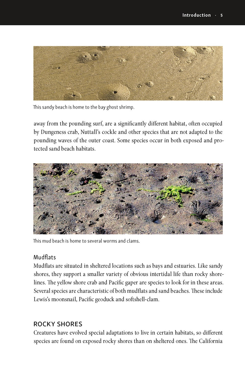 The New Beachcomber's Guide to the Pacific Northwest