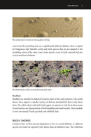 The New Beachcomber's Guide to the Pacific Northwest