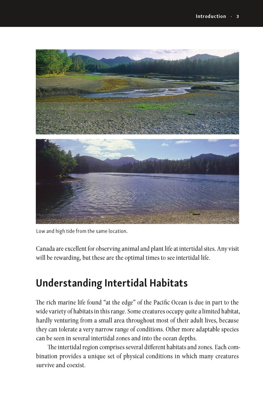 The New Beachcomber's Guide to the Pacific Northwest