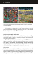 The New Beachcomber's Guide to the Pacific Northwest