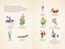 Herbal Magic