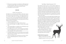 Hearth and Home Witchcraft