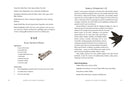 Hearth and Home Witchcraft
