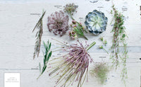 The Flower Recipe Book: 100 Magical, Sculptural, Seasonal Arrangements