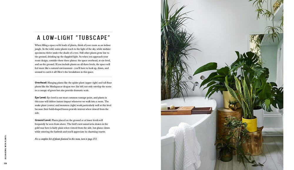 Decorating with Plants