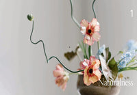 Ikebana Unbound