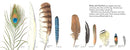 Feathers
