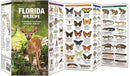 Florida Wildlife