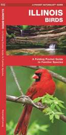 Illinois Birds: A Folding Pocket Guide to Familiar Species