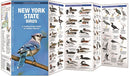 New York State Birds