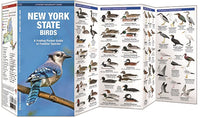New York State Birds
