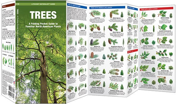Trees