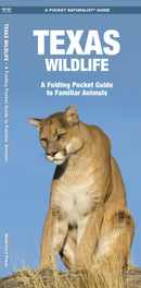 Texas Wildlife: A Folding Pocket Guide to Familiar Animals