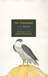 The Peregrine