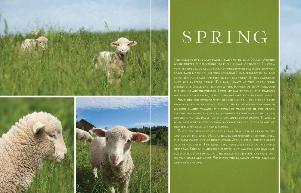 Adventures in Yarn Farming