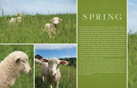 Adventures in Yarn Farming