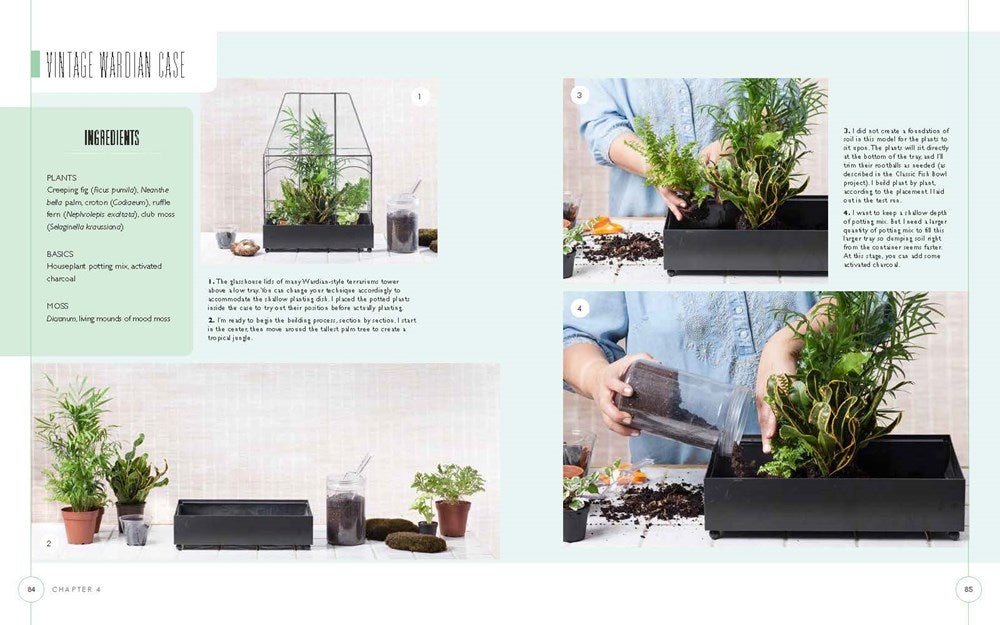 Terrariums - Gardens Under Glass