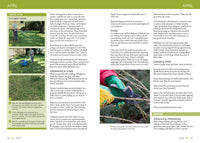 New England Month-by-Month Gardening