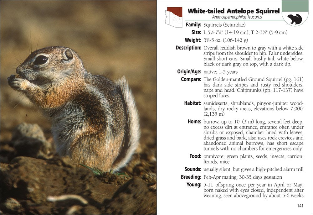 Mammals of Arizona Field Guide