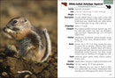 Mammals of Arizona Field Guide