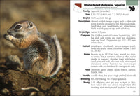 Mammals of Arizona Field Guide