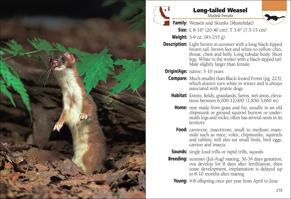 Mammals of Arizona Field Guide