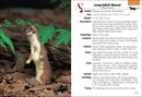 Mammals of Arizona Field Guide
