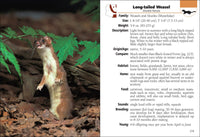 Mammals of Arizona Field Guide