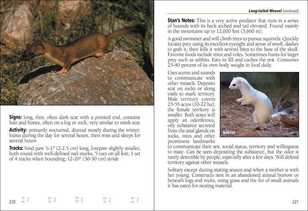 Mammals of Arizona Field Guide